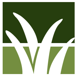 Buzz Yard Brush Removal