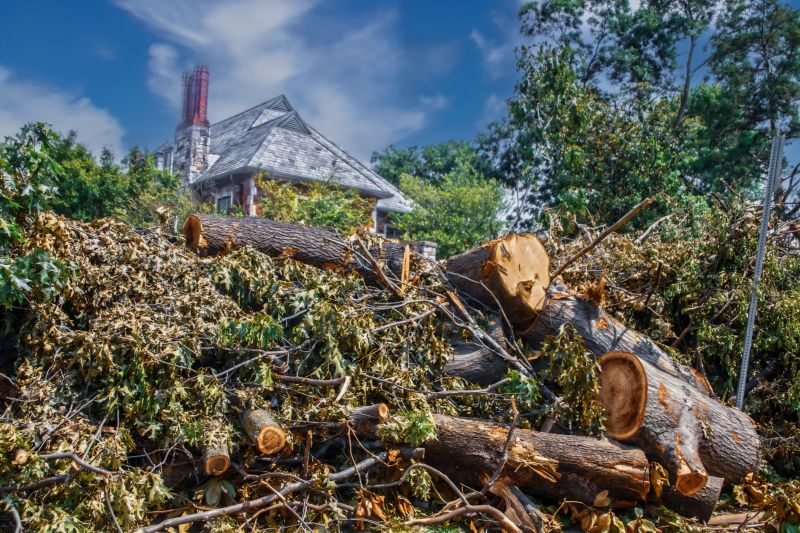 Brush Cleaning Service in Ventura County, CA