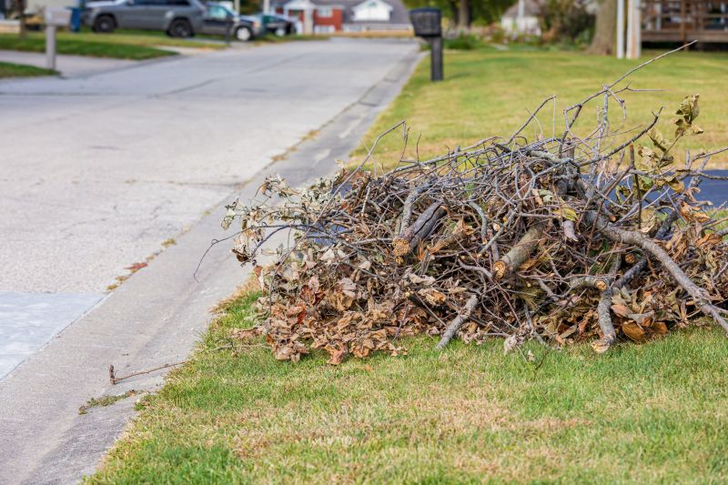 Brush Cleaning Service in Ventura County, CA