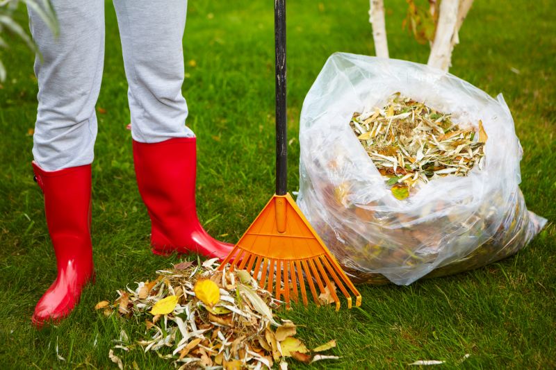Leaf Cleanup Service in Ventura County, CA