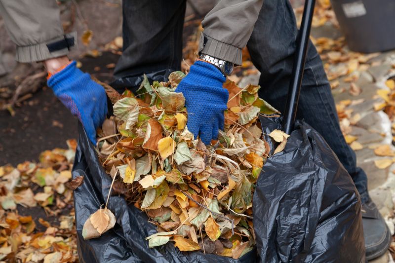 Leaf Cleanup Service in Ventura County, CA