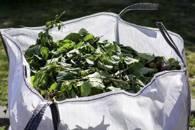 Leaf Cleanup Service in Ventura County, CA