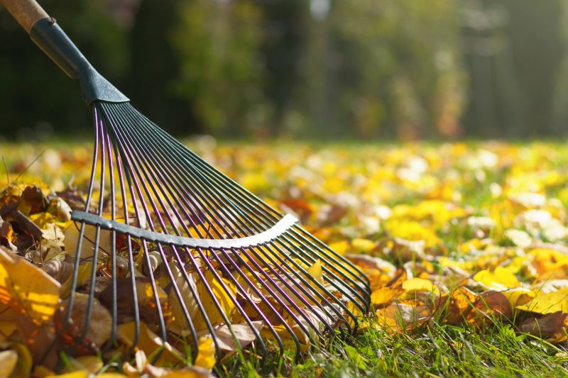 Leaf Raking Service