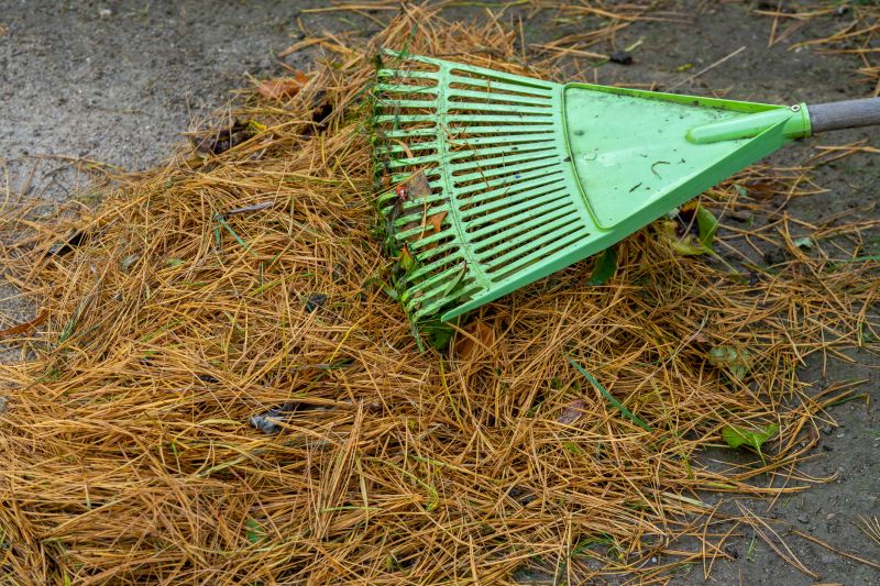 Leaf Raking Service in Ventura County, CA