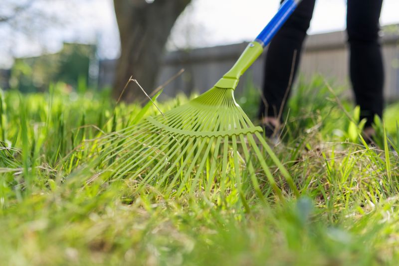 Leaf Raking Service in Ventura County, CA
