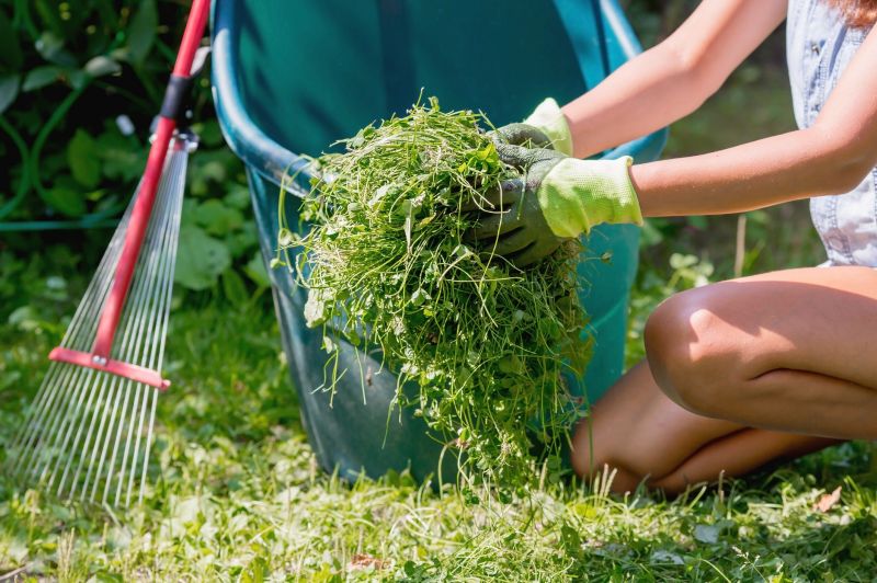 Leaf Raking Service in Ventura County, CA