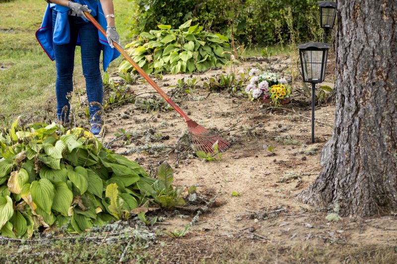 Leaf Raking Service