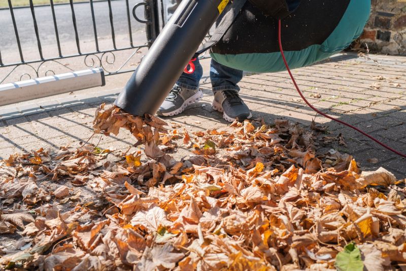 Leaves Vacuuming in Ventura County, CA