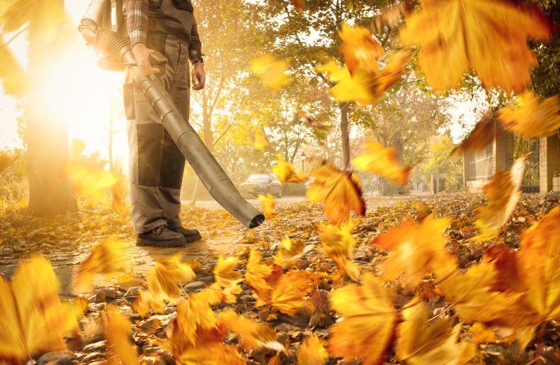 Leaves Vacuuming in Ventura County, CA