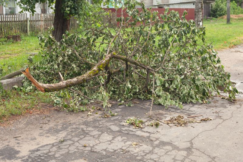 Limbs Removal in Ventura County, CA