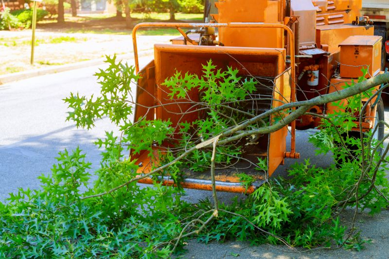 Limbs Removal in Ventura County, CA