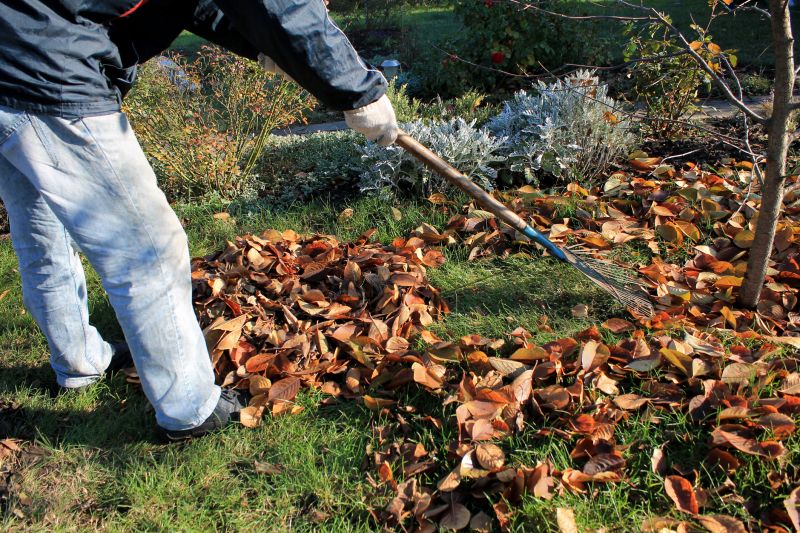 Seasonal Lawn Maintenance in Ventura County, CA