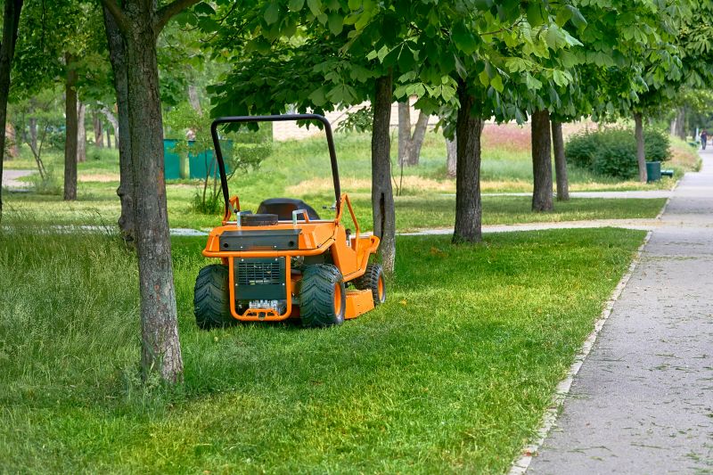 Spring Lawn Cleanup in Ventura County, CA