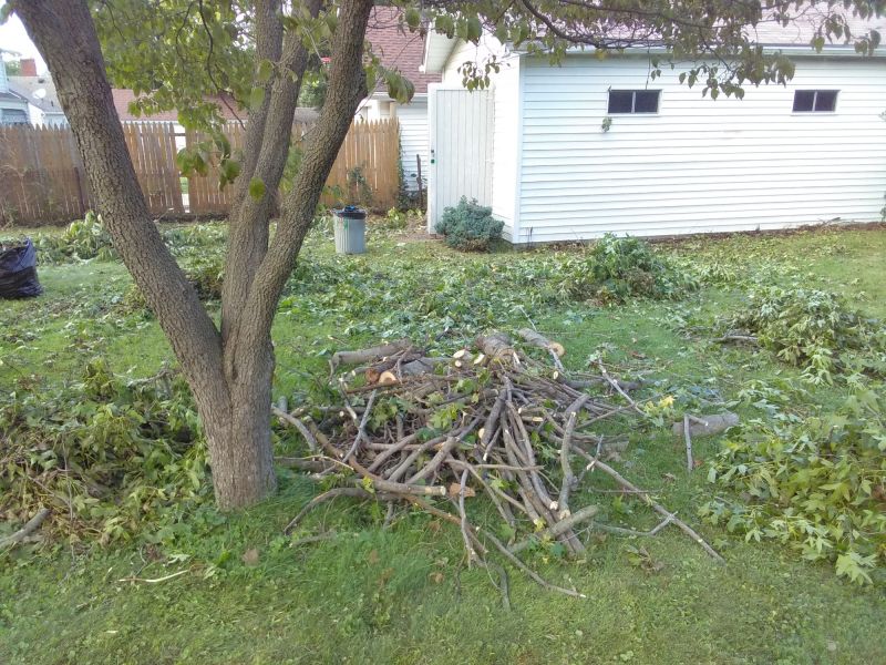 Spring Lawn Cleanup in Ventura County, CA
