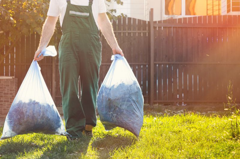 Spring Lawn Cleanup in Ventura County, CA