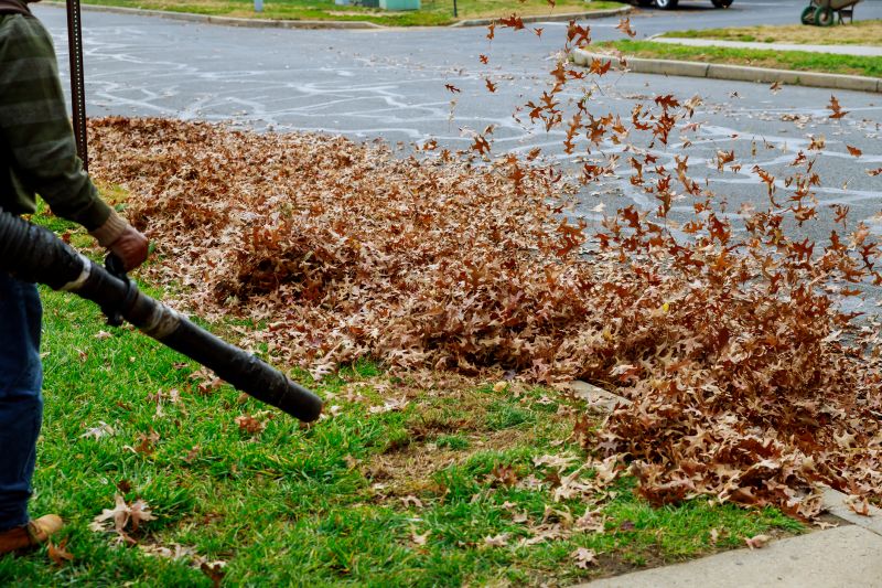 Spring Yard Clean Up Service in Ventura County, CA