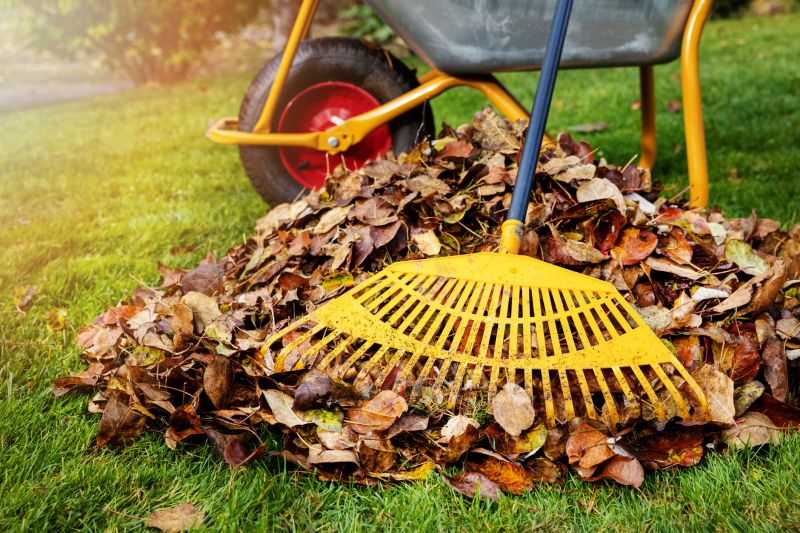 Spring Yard Clean Up Service in Ventura County, CA