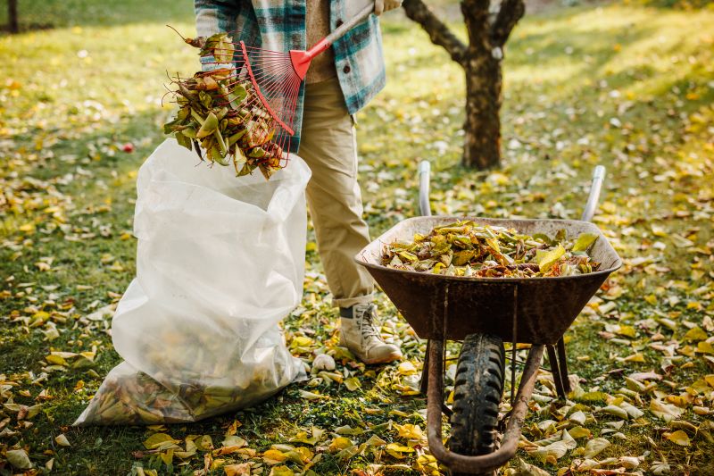 Spring Yard Clean Up Service in Ventura County, CA