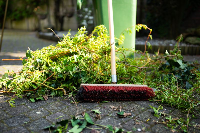Spring Yard Cleanup in Ventura County, CA