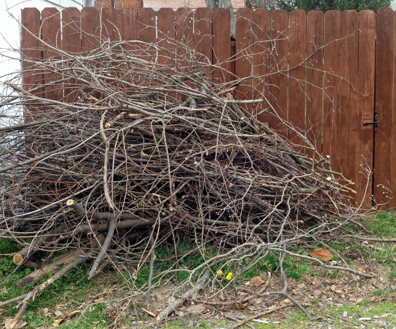 Tree Branches Removal in Ventura County, CA