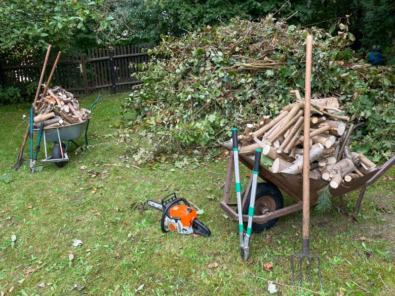 Tree Debris Removal in Ventura County, CA