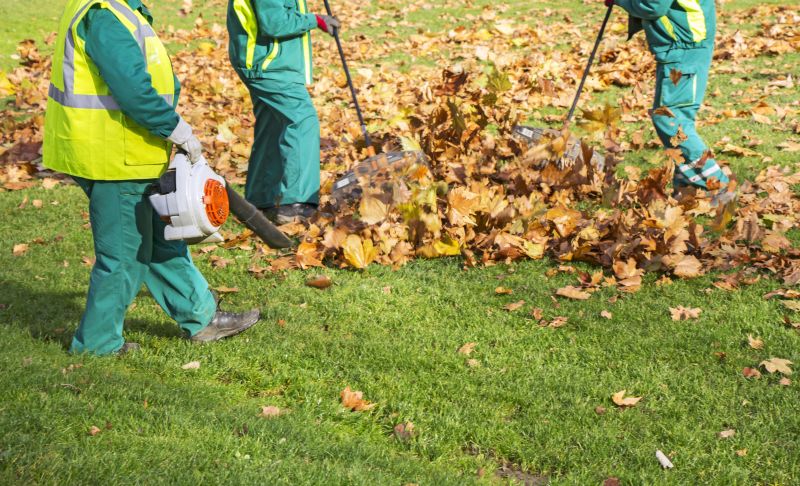 Yard Cleanup Service in Ventura County, CA